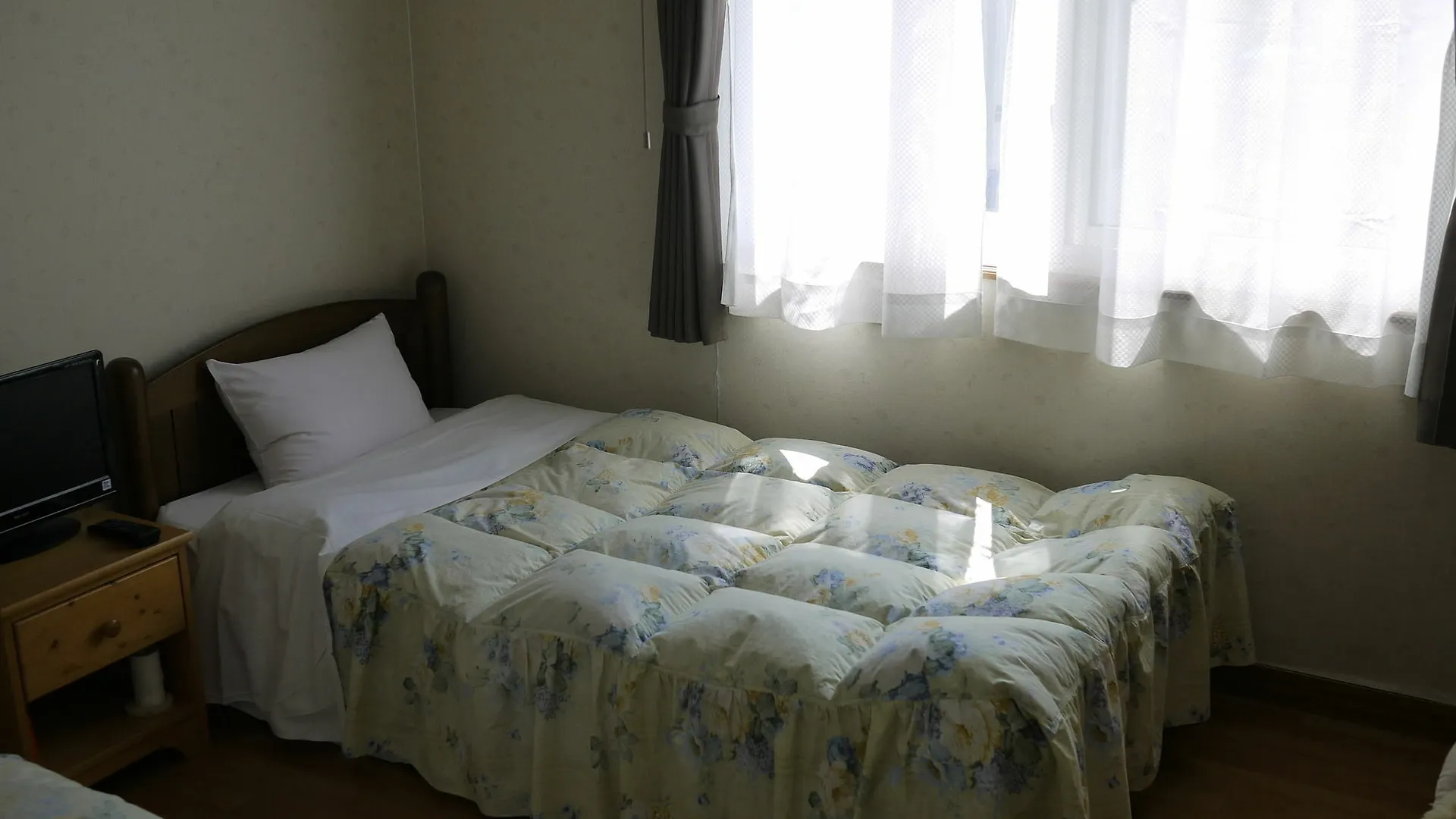Pension Alice Niseko 2*,