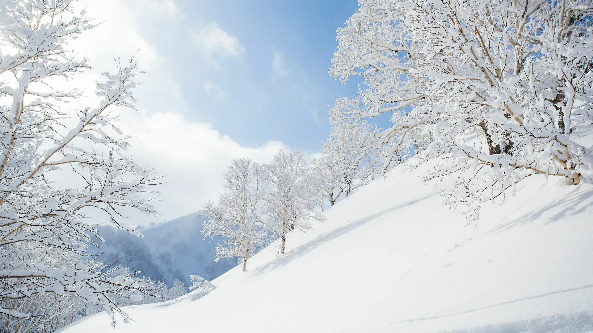 Pension Alice Niseko Japan