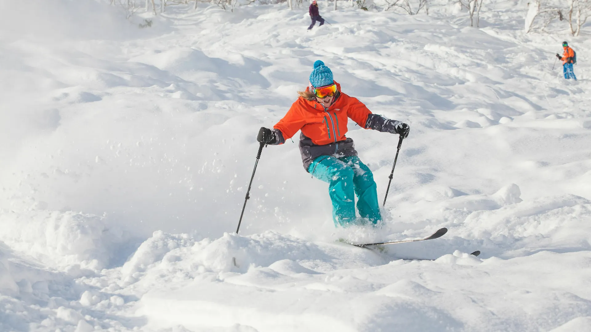 Pension Alice Niseko 2*,  Japan